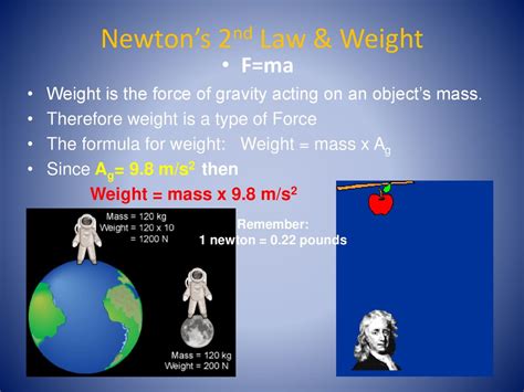 Newton's Pounds: Revolutionizing Weight Measurement