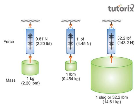 Newton's and Kilograms: A Comprehensive Exploration