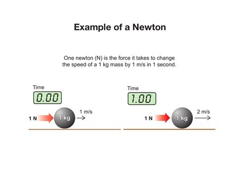 Newton (N)