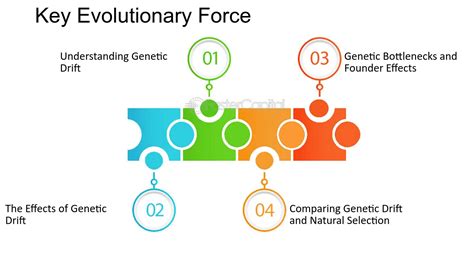 Newtons to G Force: Unraveling the Forces at Play