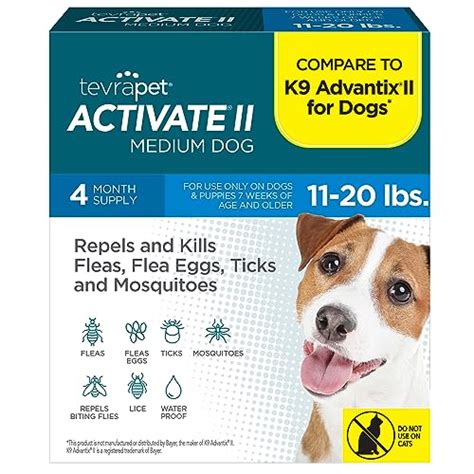 NexGard for Dogs Price: All You Need to Know in 2023