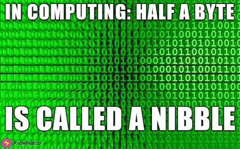 Nibble: The Crucial Computing Component You Never Knew You Needed