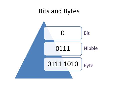 Nibble Bits Bytes: Deciphering the Language of Digital Storage