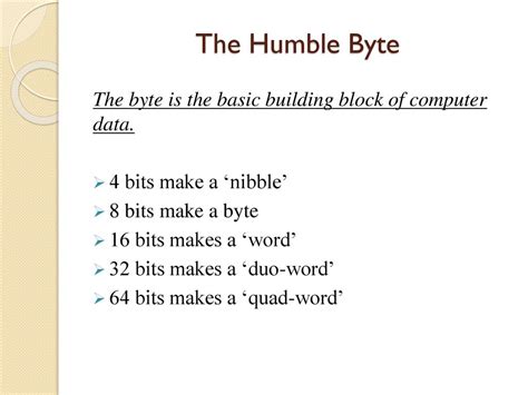 Nibble and Byte: The Essential Building Blocks of Digital Communication