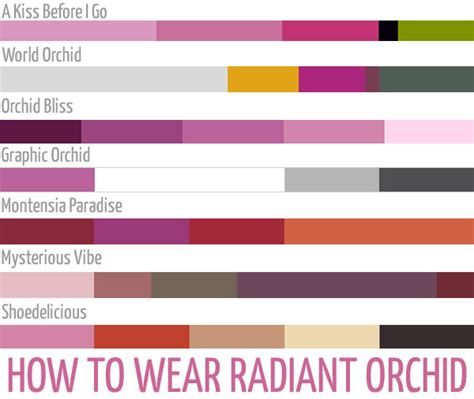 Nicky Rose: A Comprehensive Guide to the Radiant Orchid