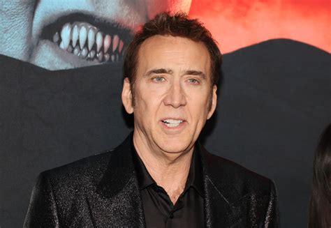 Nicolas Cage & No, Not the Bees: The Divine Madness Behind His Iconic Meme