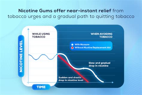 Nicorette Gum Ingredients: Unveiling a Path to Reduced Cravings