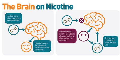 Nicotine: A Stealthy Ally for Your Brain's Health