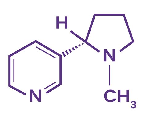 Nicotine: The Central Element