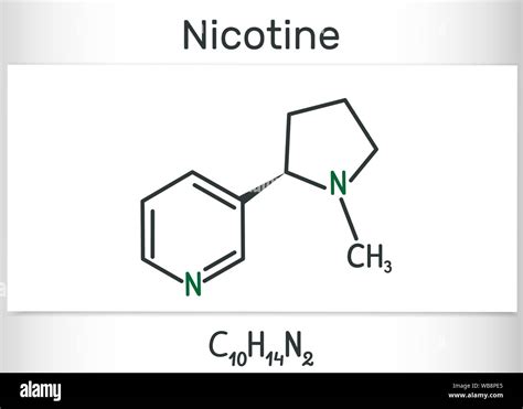 Nicotine: The Primary Alkaloid