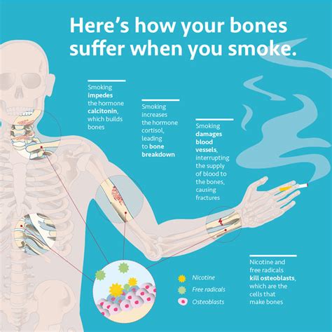 Nicotine Absorption and Effects