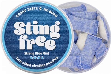 Nicotine Pouches: A Comprehensive Guide to Exploring the Safer Alternative to Smoking