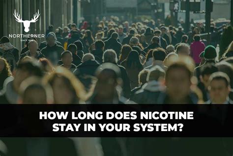 Nicotine Stay In My System: The Definitive Guide to Understanding Its Duration