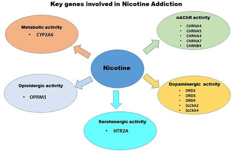 Nicotine and Enhanced Physical Performance