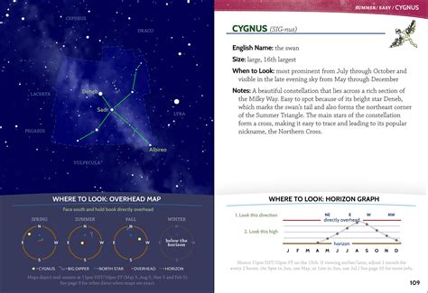 Night Sky: A Field Guide to the Constellations Doc