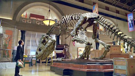 Night at the Museum: Unveiling the Legendary Rexy