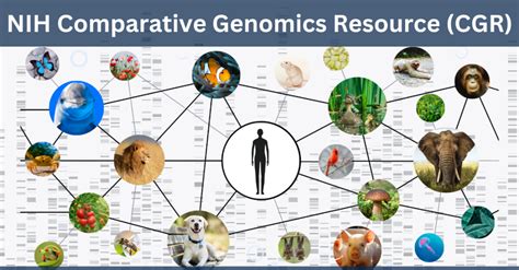 Nih To Expand Genomics Catalog For Research Community