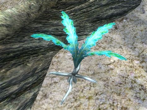 Nirnroot