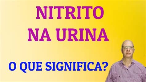 Nitrito na Urina: Um Guia Completo