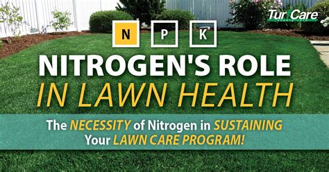 Nitrogen's Role in Lawn Health