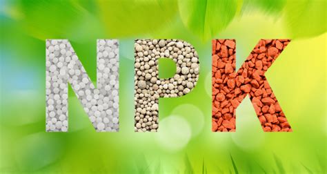 Nitrogen, Phosphorus, Potassium: Measuring Nutrient Concentration