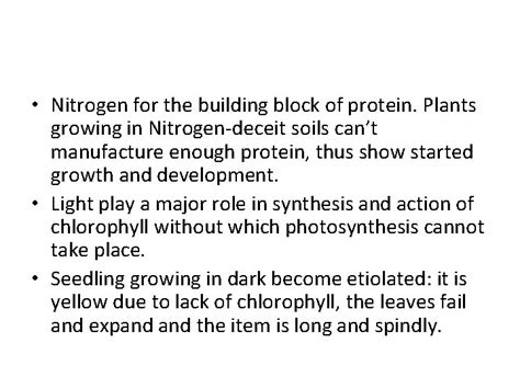 Nitrogen: The Building Block of Plant Life