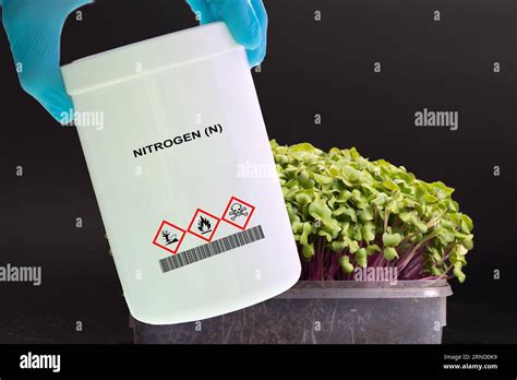 Nitrogen: The Essential Element for Plant Growth