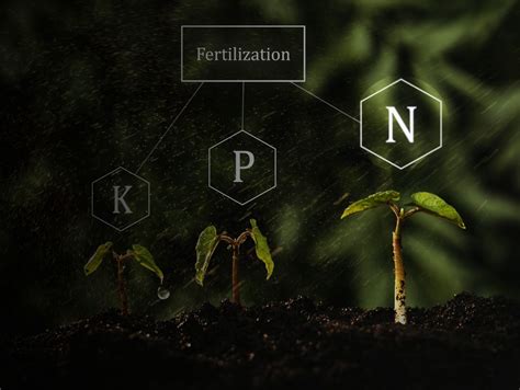 Nitrogen: The Powerhouse for Growth