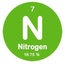 Nitrogen (N): 16%