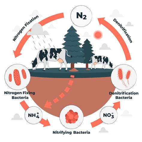 Nitrogen Content: