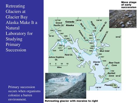 Nitrogen Glaciers: