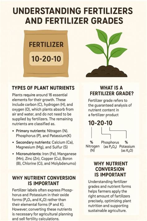 Nitrogen and Iron Fertilizer: Understanding the Mighty Nutrients