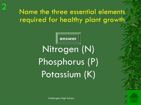 Nitrogen and Phosphorus: Essential Elements for Plant Growth