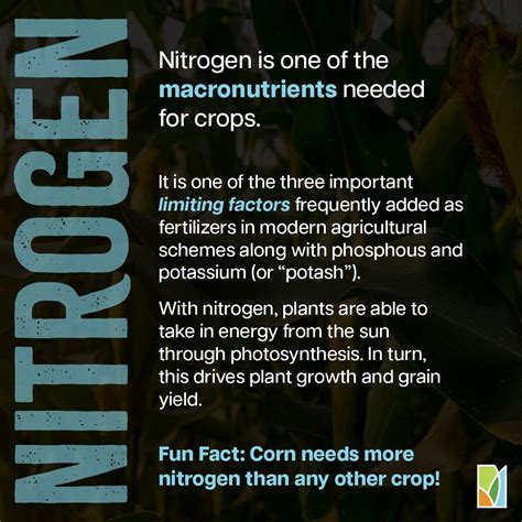 Nitrogen is a macronutrient essential for plant growth and development.