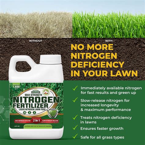 Nitrogen-Rich Fertilizer for Lawns: Supercharge Your Green Paradise