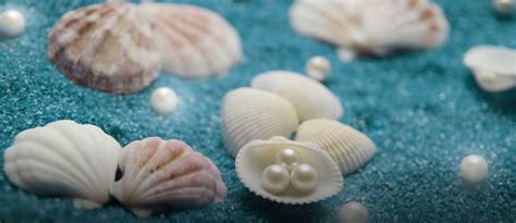 Nixie Pearling: A Comprehensive Guide to the Ancient Art of Diving for Pearls