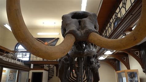 No Permits Required: Uncovering Rutgers' Hidden Gems