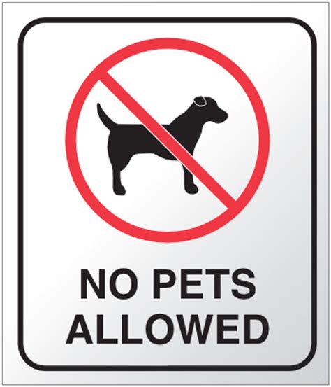 No Pets Allowed PDF