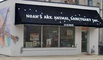 Noah's Ark: A Sanctuary for Animals in the Heart of Rockford, Illinois