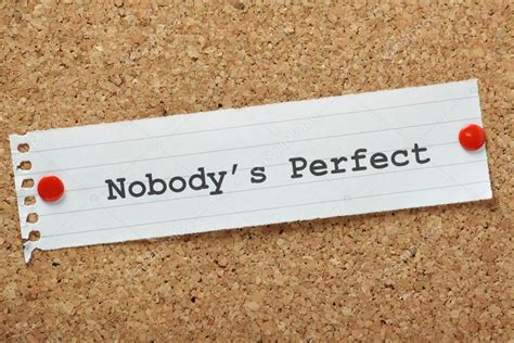 Nobody s Perfect Epub