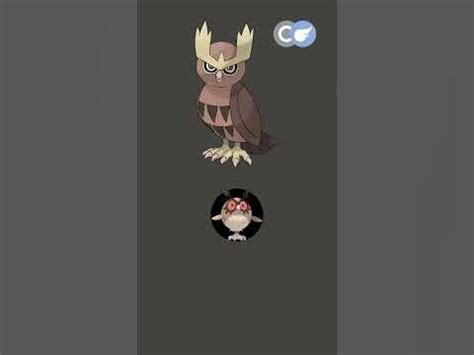 Noctowl: The Wise and Mysterious Pokémon