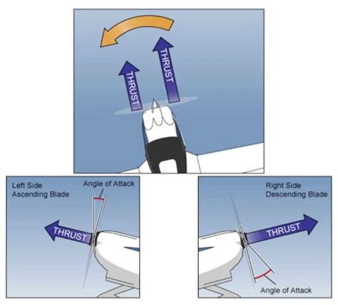 Noelle Is Flying: A Comprehensive Guide to Aerodynamics and Flight