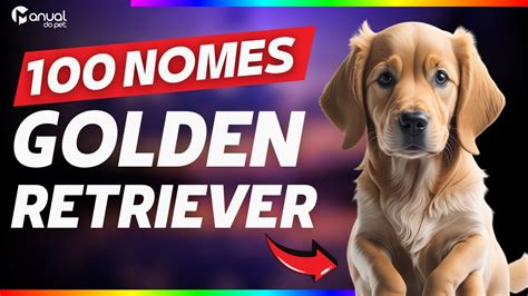 Nomes para Cachorros: Encontre a Identidade Perfeita para Seu Melhor Amigo