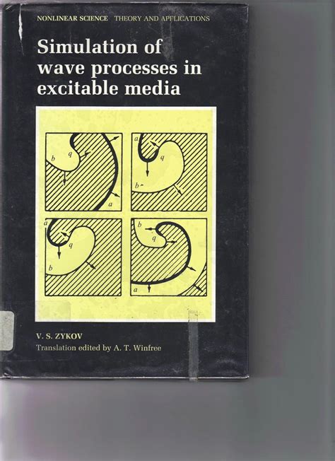 Nonlinear Wave Processes in Excitable Media 1st Edition PDF