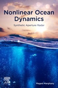 Nonlinear Waves 1 Dynamics and Evolution 1st Edition PDF