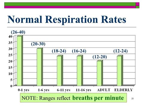 Normal Respiratory Rate Chart