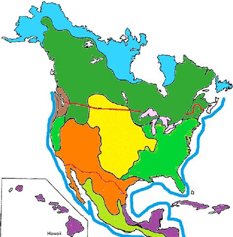 North American Biomes Answer Key Reader