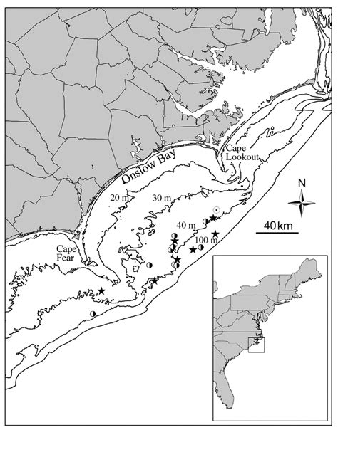 North Carolina Depth Chart