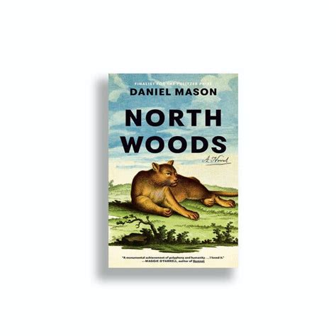 North Woods Book Summary Chapter by Chapter