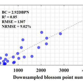 Not fully utilizing the Transient Blossom count: